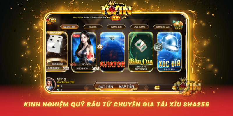 Kinh Nghiem Quy Bau Tu Chuyen Gia Tai Xiu Sha256